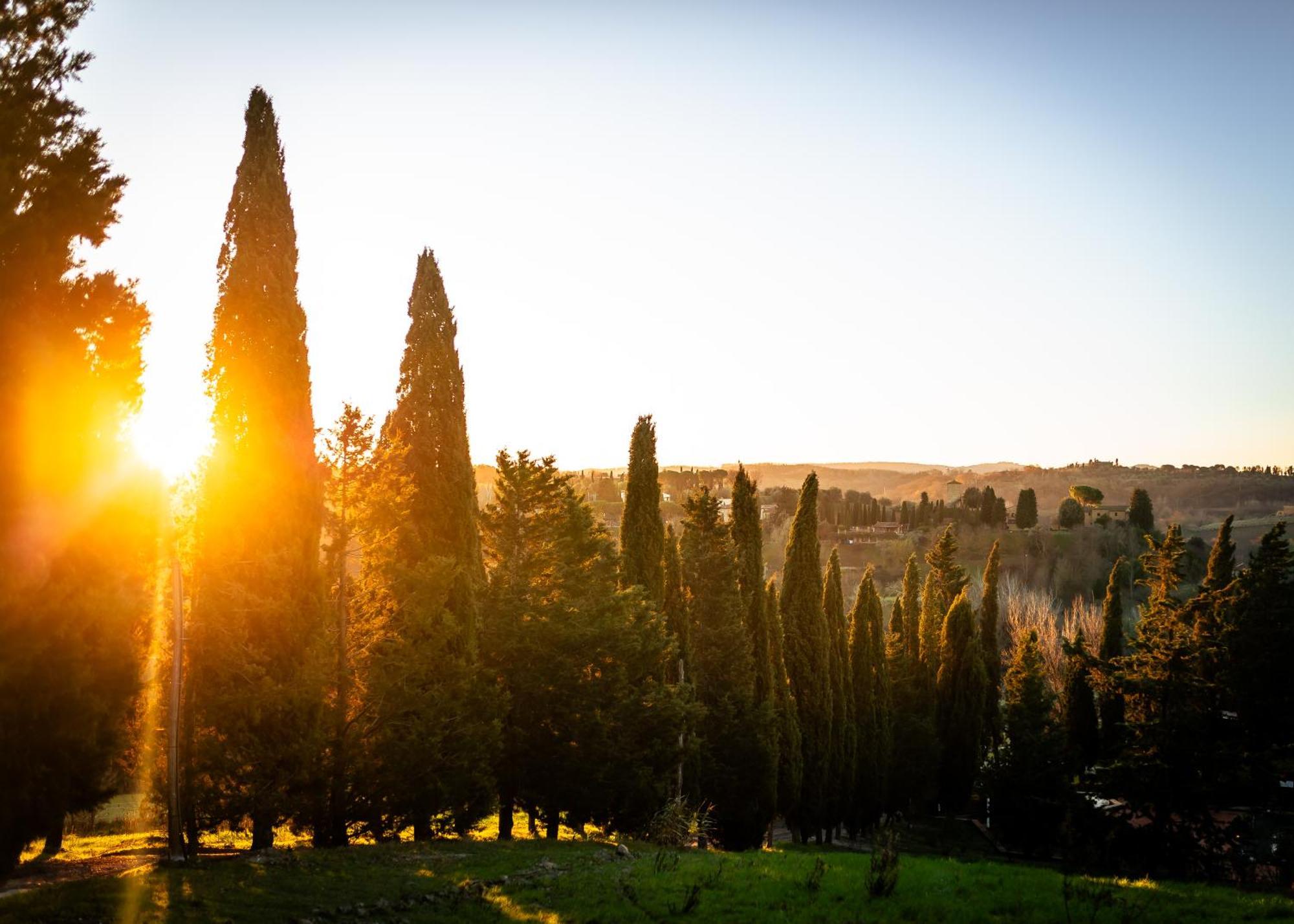 Borgo Il Poggio Agritourismo Villa Montaione Luaran gambar